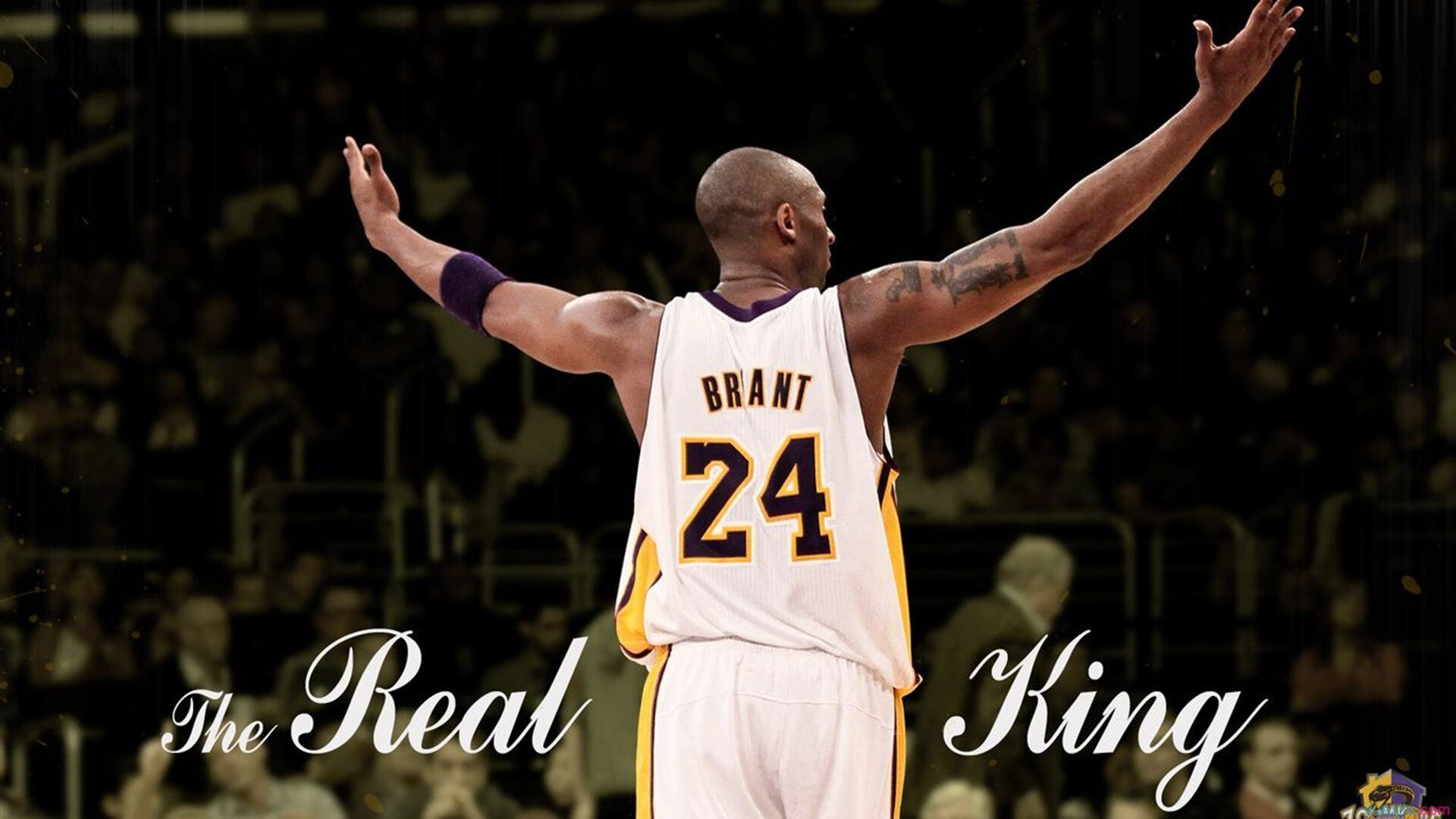 开云体育下载APP-东京红钻攻势凶猛，稳操胜券杀入四强，东京钻石